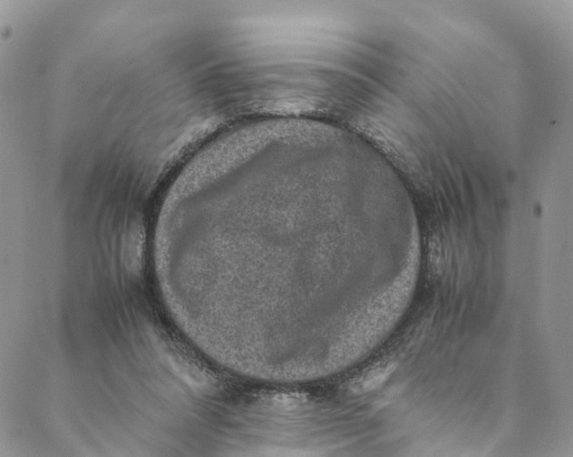 X0000088400304200706121242