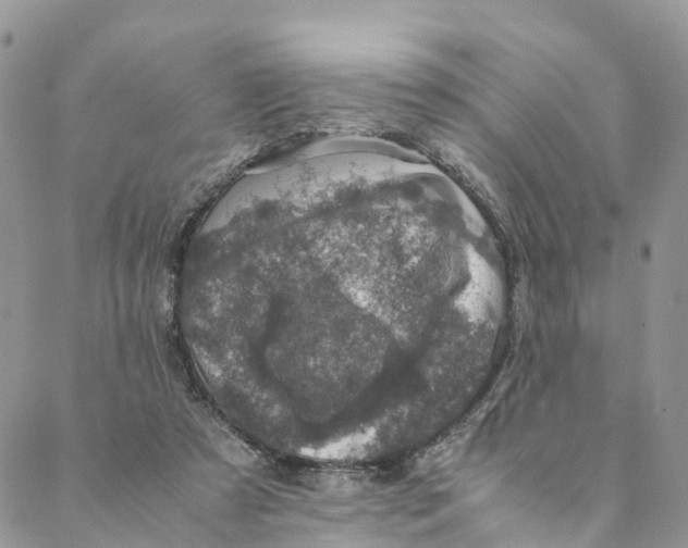 X0000088400305200706121242