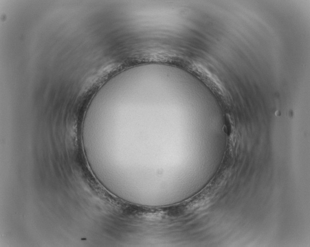 X0000088400306200706121241