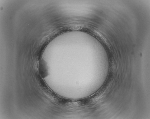 X0000088400307200706121241