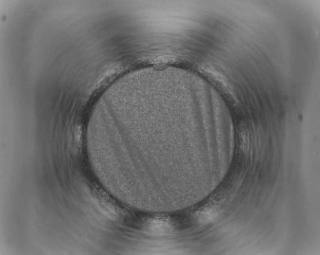 X0000088400308200706121241