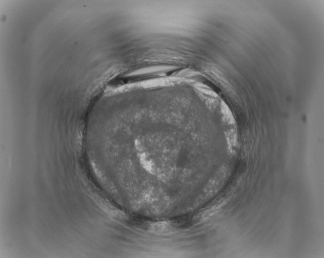 X0000088400309200706121241