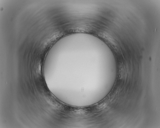 X0000088400310200706121241