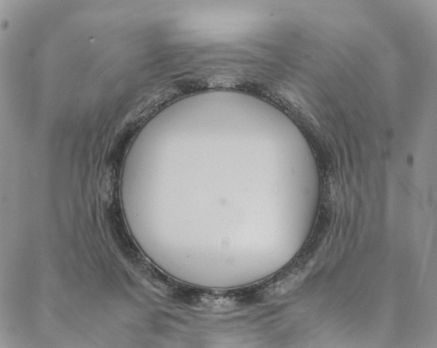 X0000088400311200706121241