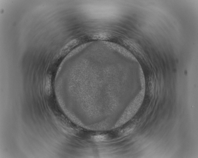 X0000088400312200706121241