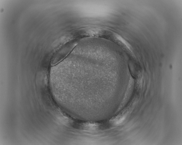 X0000088400313200706121241