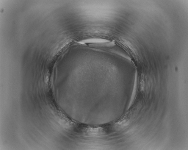 X0000088400314200706121241