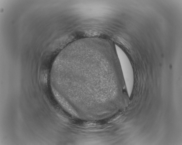 X0000088400315200706121241