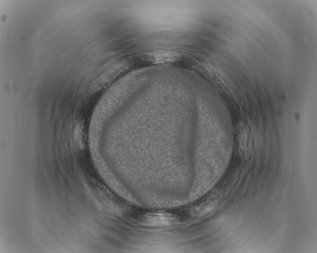 X0000088400316200706121241