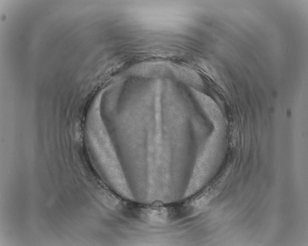 X0000088400317200706121241