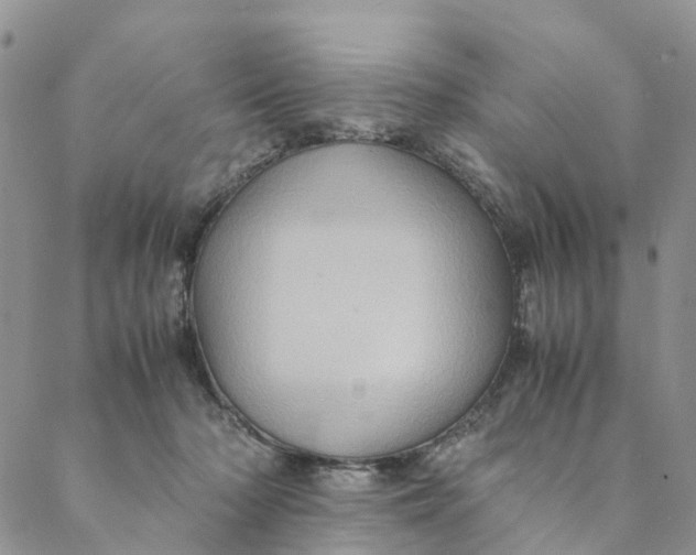 X0000088400318200706121241