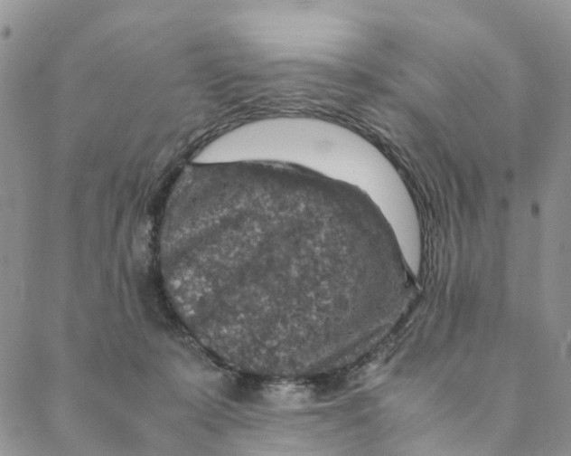 X0000088400319200706121241