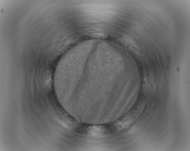 X0000088400320200706121241