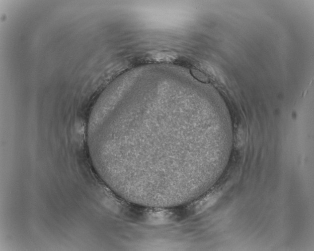 X0000088400321200706121241