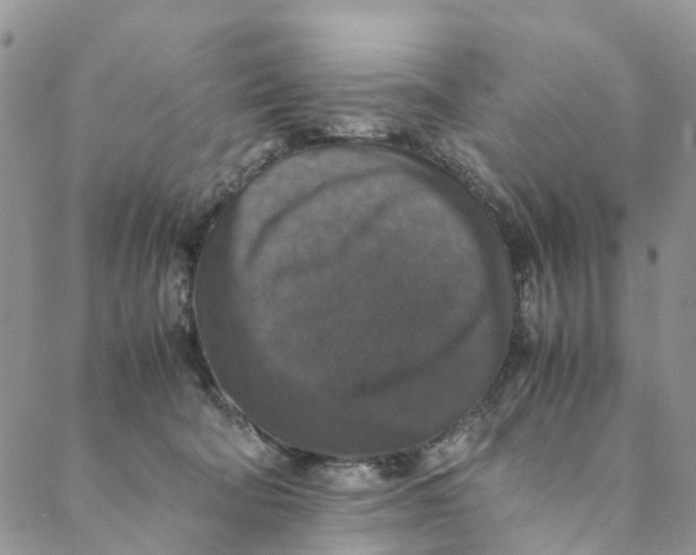 X0000088400322200706121241