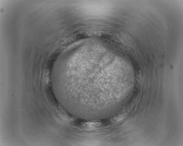 X0000088400323200706121241