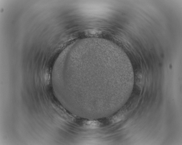 X0000088400324200706121241