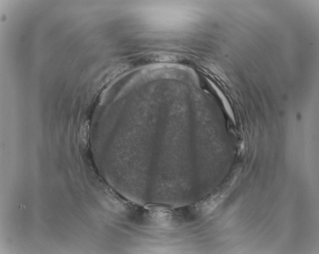 X0000088400325200706121241