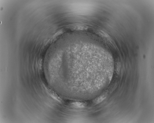 X0000088400326200706121241