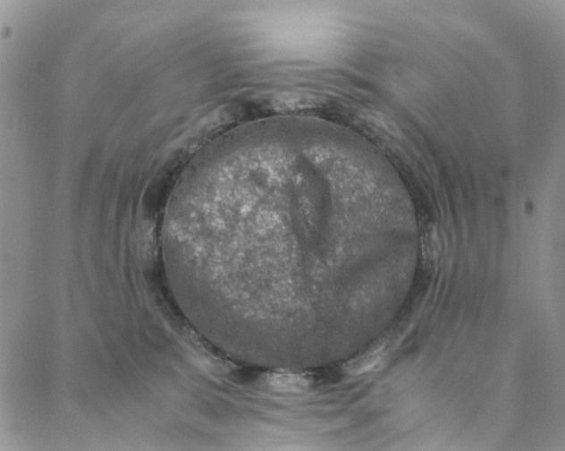 X0000088400327200706121241