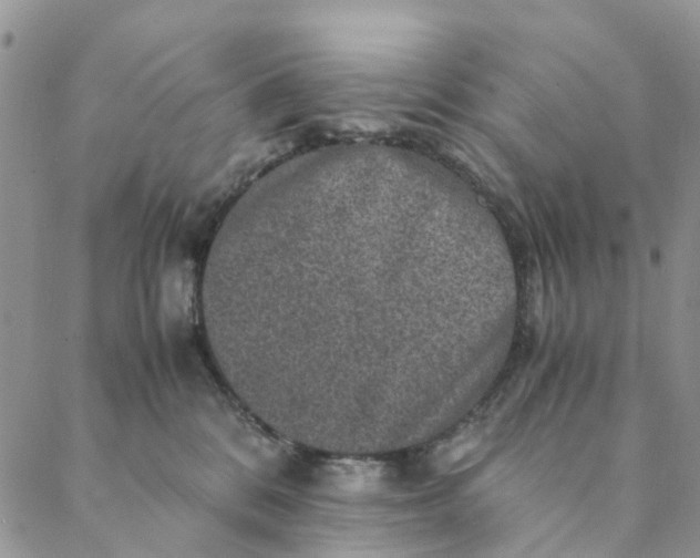 X0000088400328200706121241