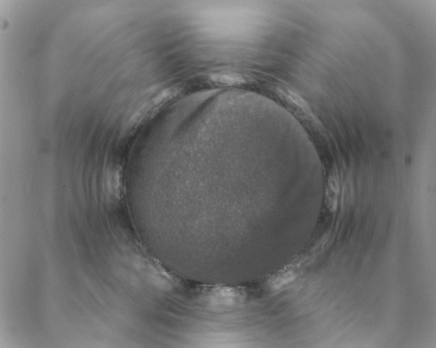 X0000088400330200706121241