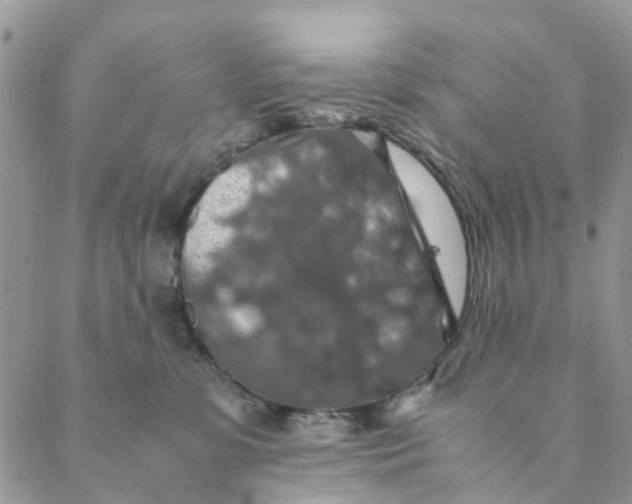 X0000088400331200706121241