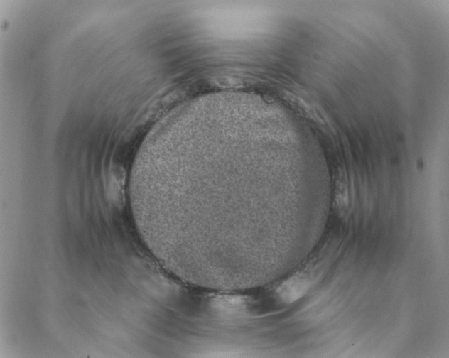 X0000088400332200706121241