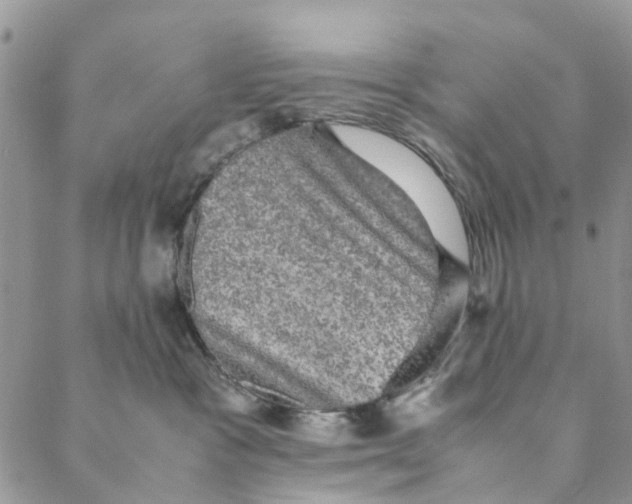 X0000088400333200706121241