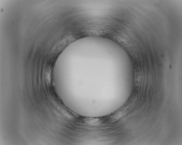 X0000088400334200706121241