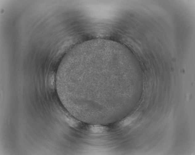 X0000088400336200706121241