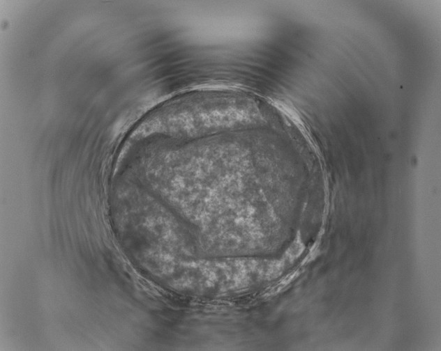 X0000088400337200706121240