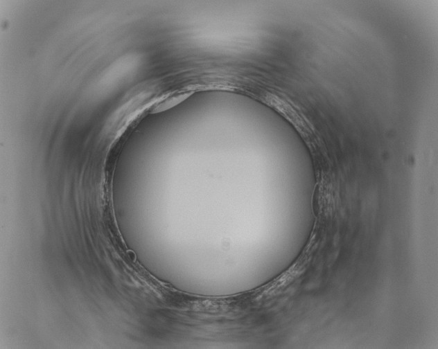 X0000088400338200706121240