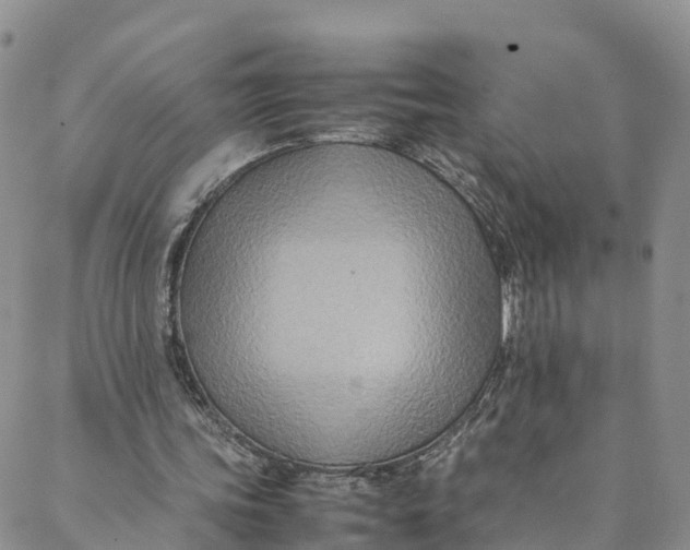 X0000088400339200706121240