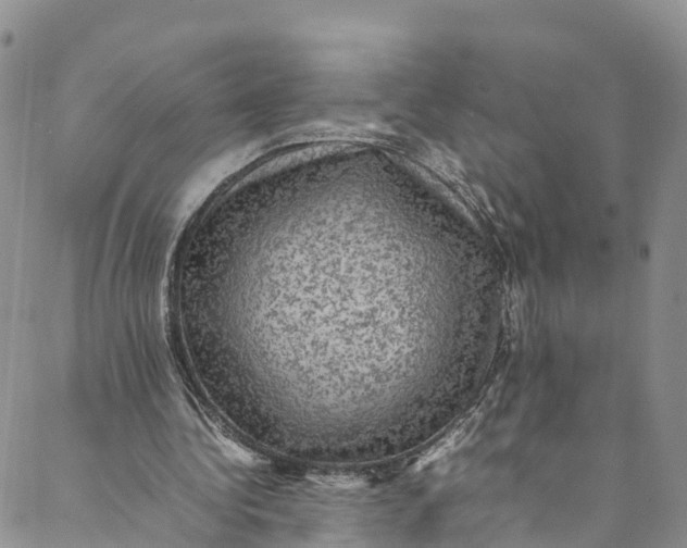 X0000088400340200706121240