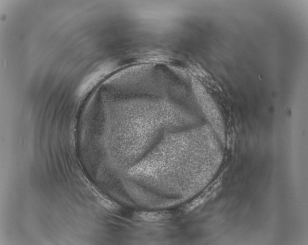 X0000088400341200706121240