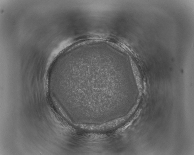 X0000088400343200706121240