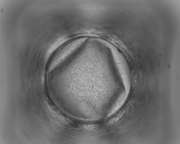 X0000088400344200706121240