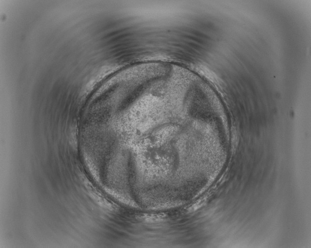 X0000088400345200706121240