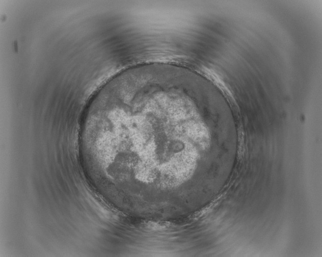 X0000088400346200706121240