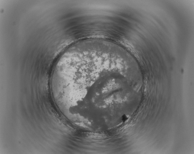 X0000088400347200706121240