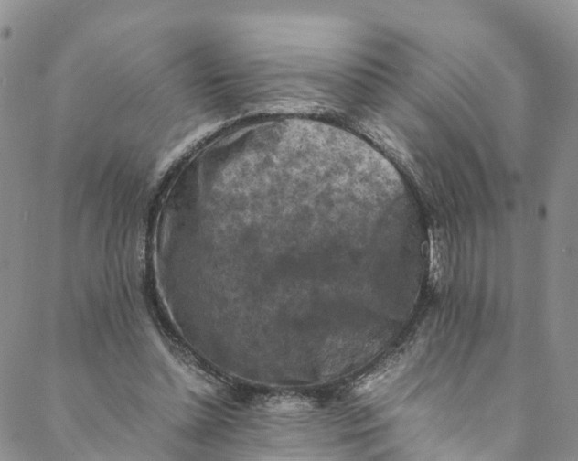 X0000088400348200706121240