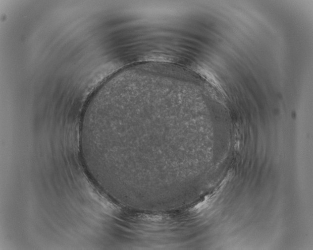 X0000088400349200706121240