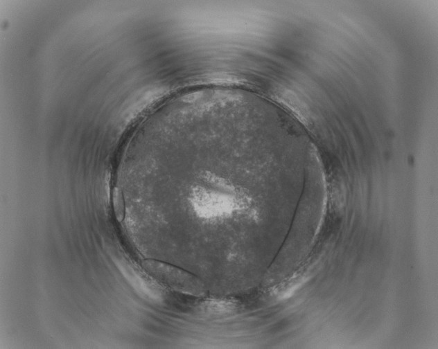 X0000088400350200706121240