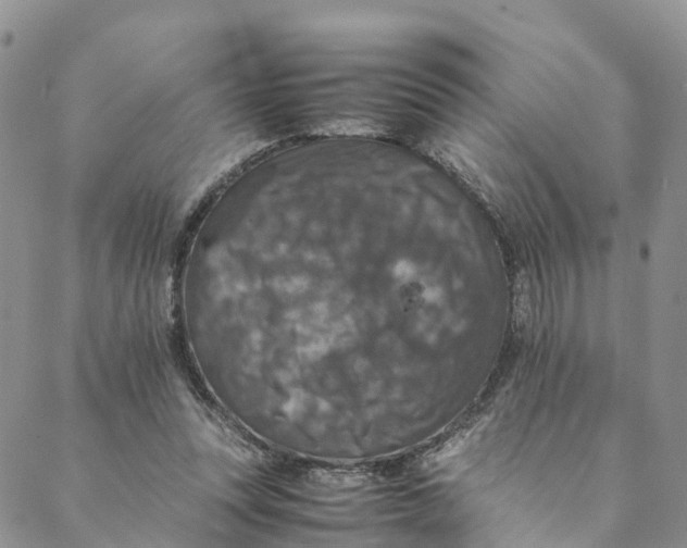 X0000088400351200706121240