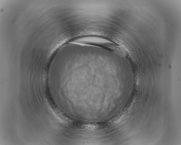 X0000088400352200706121240