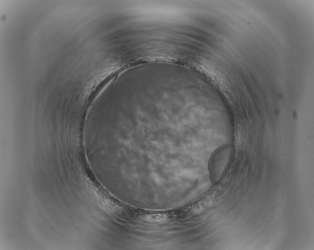 X0000088400353200706121240