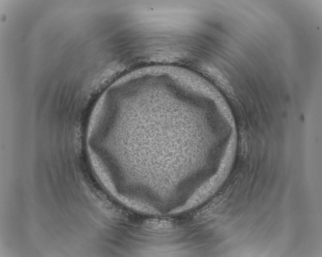 X0000088400354200706121240