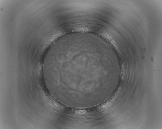 X0000088400355200706121241