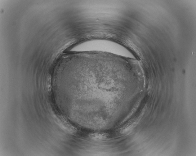 X0000088400356200706121241